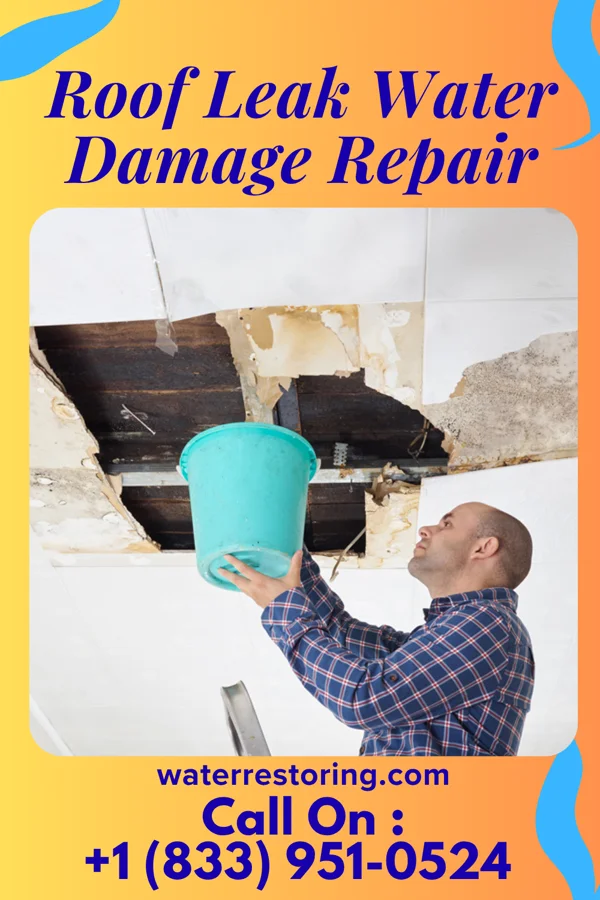 Roof Leak Water Damage Repair in Grandview, TX
